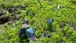 post-5580-0-94838700-1328176515_thumb.jp