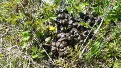 post-5580-0-97183200-1328293206_thumb.jp