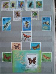 post-6245-0-25331600-1330253400_thumb.jp