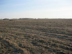 post-6323-0-93898900-1329051579_thumb.jp