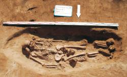 post-7278-0-60461900-1329690582_thumb.jp