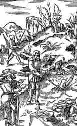 post-7305-0-51007700-1328179085_thumb.jp