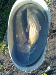 post-8735-0-58068400-1328345074_thumb.jp