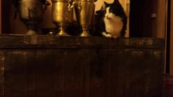 post-8735-0-75058100-1328809164_thumb.jp