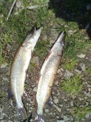 post-8735-0-99205800-1328344994_thumb.jp