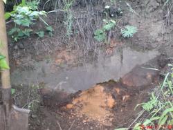 post-9204-0-01665800-1329827528_thumb.jp