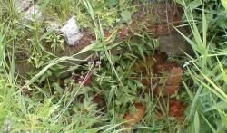 post-9204-0-06064200-1329827540_thumb.jp