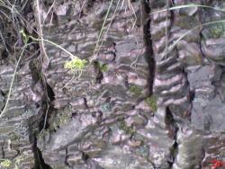 post-9204-0-19990100-1329827557_thumb.jp