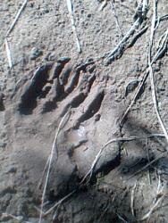 post-9204-0-22422100-1329584004_thumb.jp