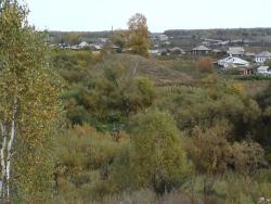 post-9204-0-29406900-1329827499_thumb.jp