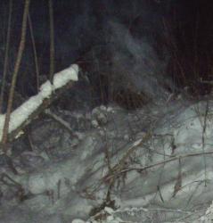 post-9204-0-57575000-1329831931_thumb.jp