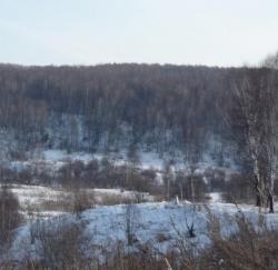 post-9204-0-77256000-1329836474_thumb.jp