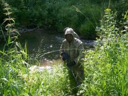 post-9204-0-86002500-1328219268_thumb.jp