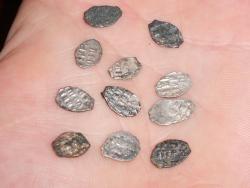 post-9943-0-26038500-1328800118_thumb.jp