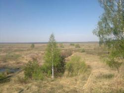 post-10214-0-35873000-1360104661_thumb.j