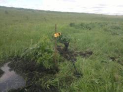 post-10214-0-71173700-1360104206_thumb.j