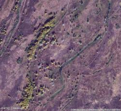 post-10440-0-11552200-1360557533_thumb.j