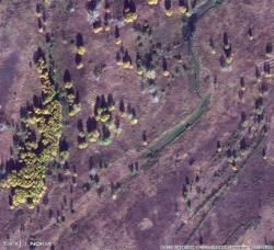 post-10440-0-56571900-1360555228_thumb.j