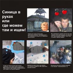 post-1131-0-41370400-1362066310_thumb.jp