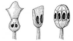 post-11386-0-86714000-1361195026_thumb.j