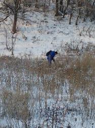 post-12373-0-81999900-1361787070_thumb.j