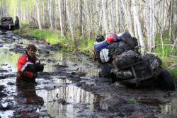 post-13868-0-01517500-1359801767_thumb.j