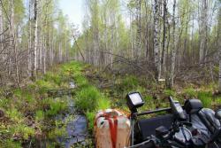 post-13868-0-02161500-1359801759_thumb.j