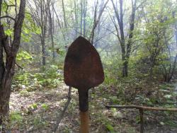 post-20810-0-47981200-1361079949_thumb.j