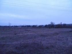 post-21511-0-67933600-1361375923_thumb.j