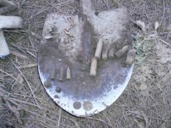 post-21511-0-68059700-1361375924_thumb.j