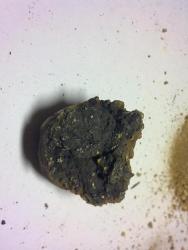 post-22801-0-80116000-1359740307_thumb.j