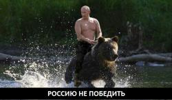 post-23641-0-21137600-1360938303_thumb.j