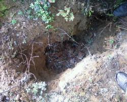 post-24203-0-12549300-1361692265_thumb.j