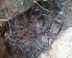 post-24203-0-30328800-1361692357_thumb.j