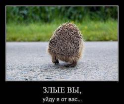 post-2838-0-06048100-1360674473_thumb.jp