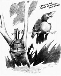 post-2838-0-41576800-1360319236_thumb.jp