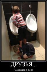 post-2838-0-75960700-1360075328_thumb.jp