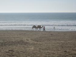 post-3662-0-18320600-1361427438_thumb.jp