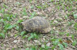 post-3662-0-92583700-1359987514_thumb.jp