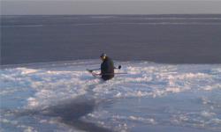 post-3757-0-74662700-1360976222_thumb.jp