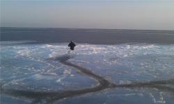 post-3757-0-93188400-1360976200_thumb.jp