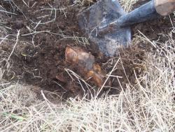 post-4269-0-92475400-1360839927_thumb.jp