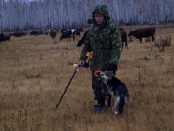 post-4269-0-98105800-1361634713_thumb.jp