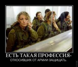 post-4840-0-44827900-1360590276_thumb.jp