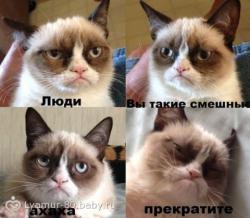 post-4840-0-83212700-1360591995_thumb.jp