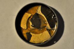 post-6129-0-37869400-1360418167_thumb.jp