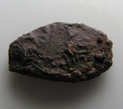 post-6726-0-33860300-1361430027_thumb.jp