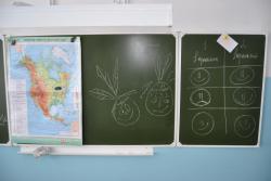 post-7597-0-30516200-1360514278_thumb.jp