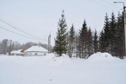 post-7597-0-48937900-1360511350_thumb.jp