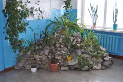 post-7597-0-59209700-1360512955_thumb.jp